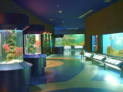 Waghor Aquarium